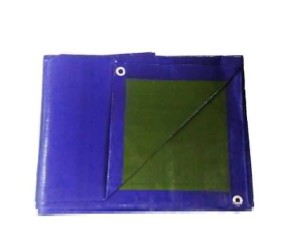 TELO PE 2 X 3 BLUE-VERDE 200G/M2